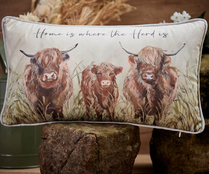 Highland Cow Cushion