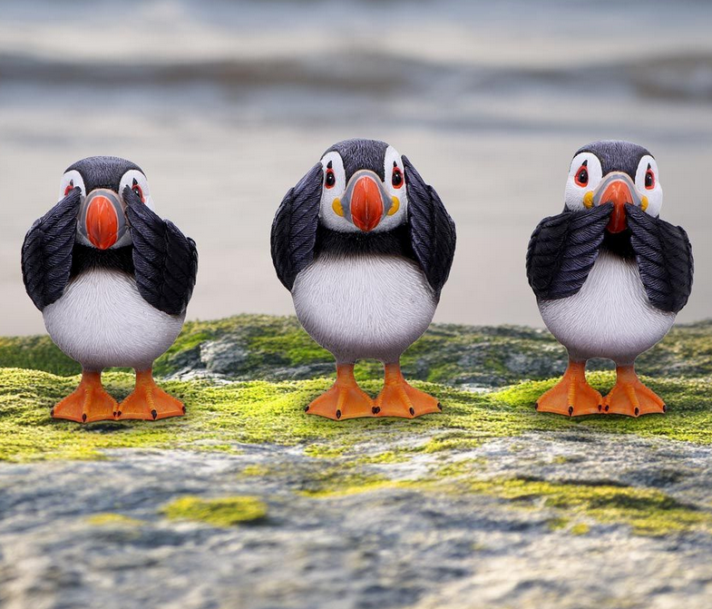 Three Wise Puffins