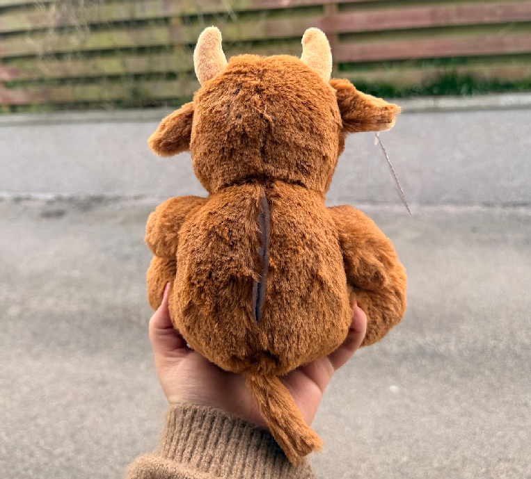 Mooing Highland Cow