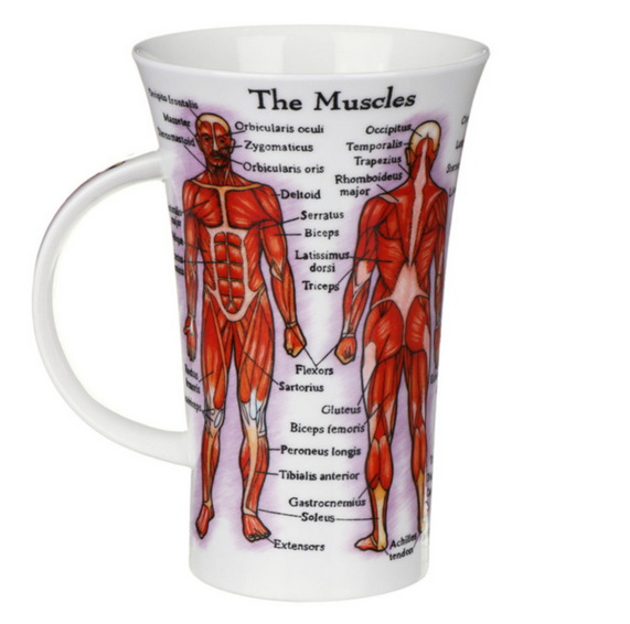 Dunoon Glencoe Human Body Mug