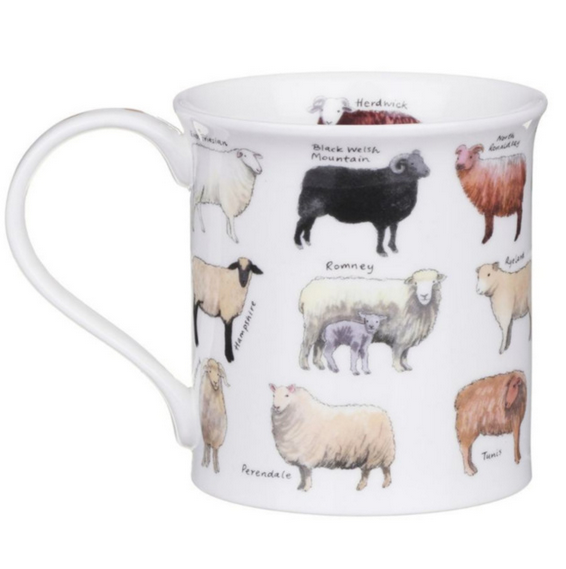 Dunoon Bute Sheep Breeds Mug