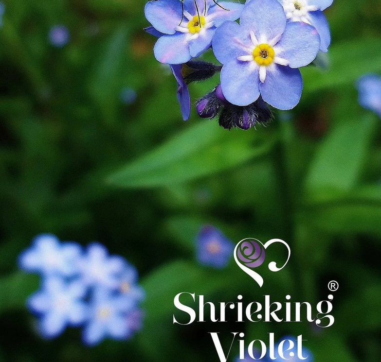 Sterling Silver Forget Me Not Heart Brooch