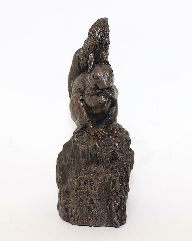 Bronze Squirrel On Rock