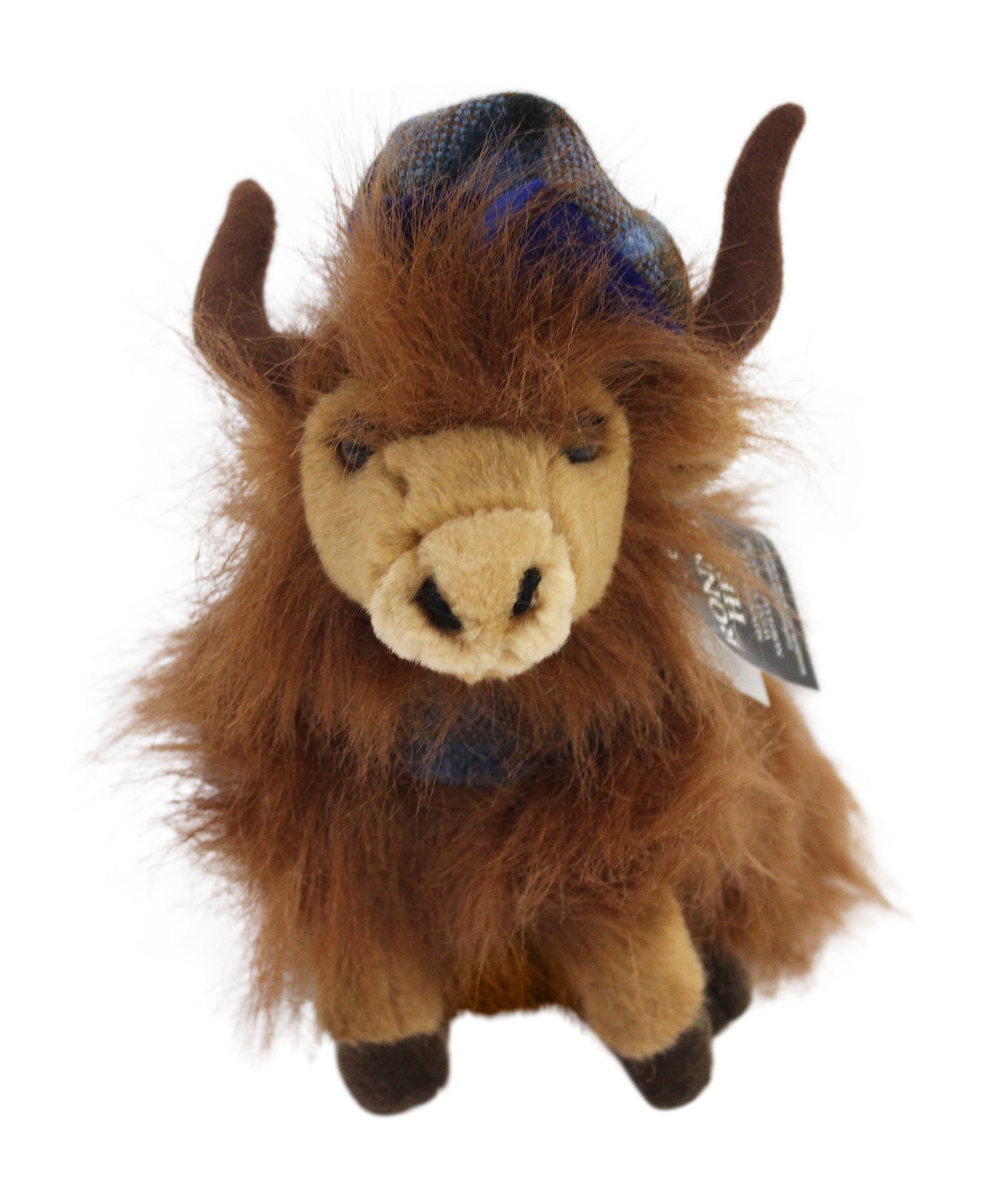 Tartan Highland Cow - Blue Highlander