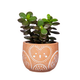 Sass & Belle Super Cute Rustic Olivia Owl Terracotta Mini Planter