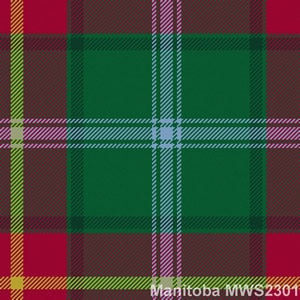 Made To Order Old & Rare Tartan Straight Neck Ties - M - R Tartans