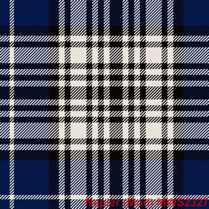Made To Order Old & Rare Tartan Straight Neck Ties - M - R Tartans