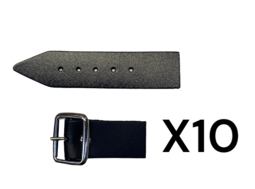 WR_Strap&BuckleEnd_1.25_10