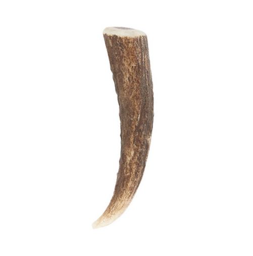 Walnut Stag Horn Kilt Pin