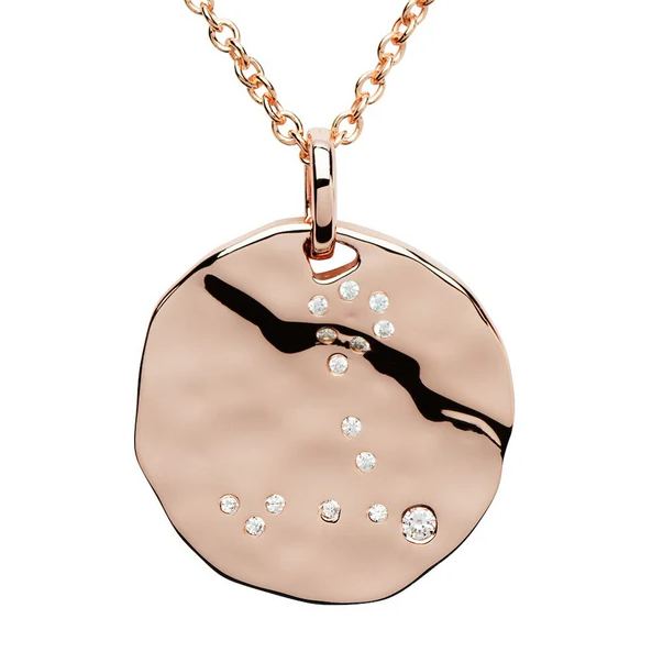 Sterling Silver Rose Gold Pisces Birthday Necklace