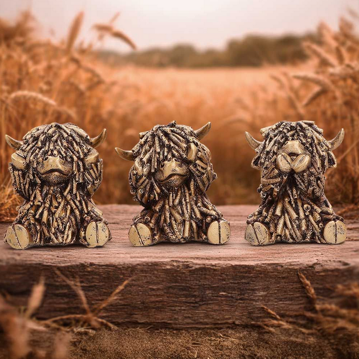 Three Wise Cows - Gold