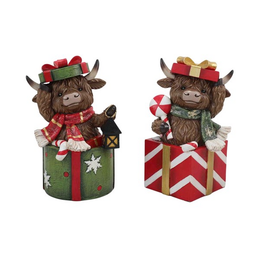 Set Of 2 Highland Cow Presents