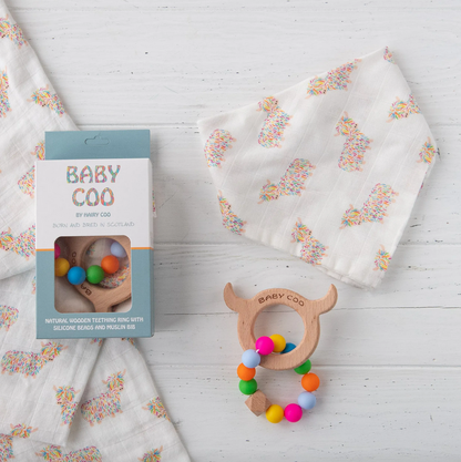 Baby Coo Teething Set