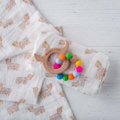 Baby Coo Teething Set