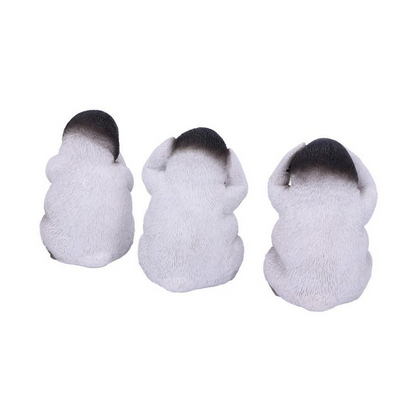 Three Wise Penguins