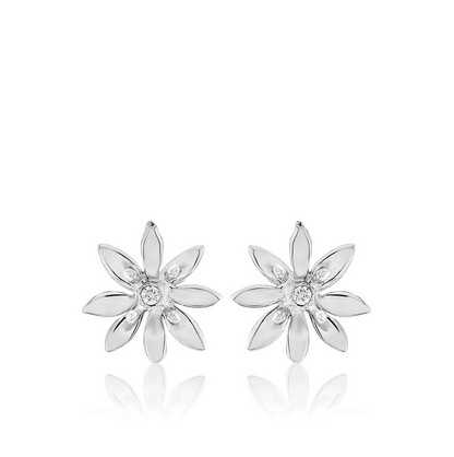 Allium Studs
