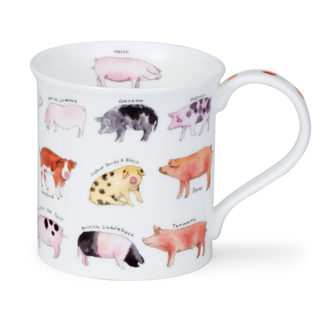 Dunoon Bute Pig Breeds Mug