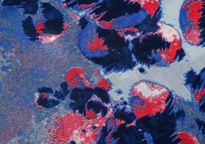 Poppy Animal Print Scarf - Blue