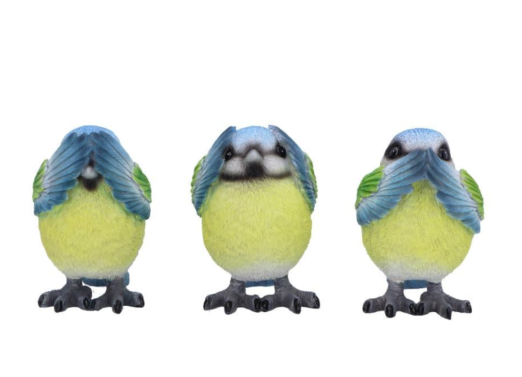 Three Wise Blue Tits