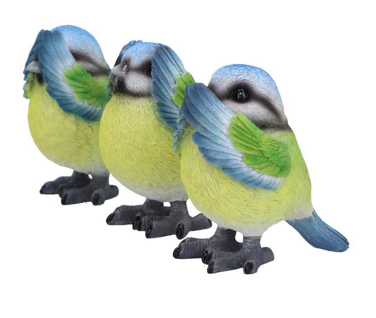 Three Wise Blue Tits