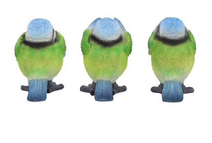 Three Wise Blue Tits