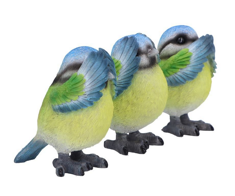 Three Wise Blue Tits