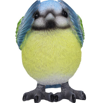 Three Wise Blue Tits