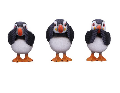 Three Wise Puffins