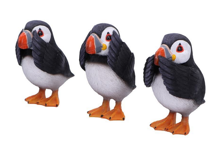 Three Wise Puffins