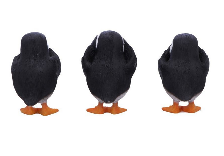 Three Wise Puffins