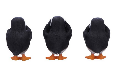 Three Wise Puffins