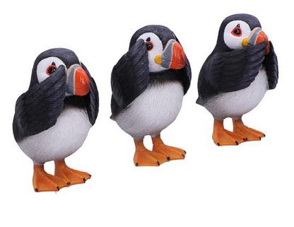 Three Wise Puffins