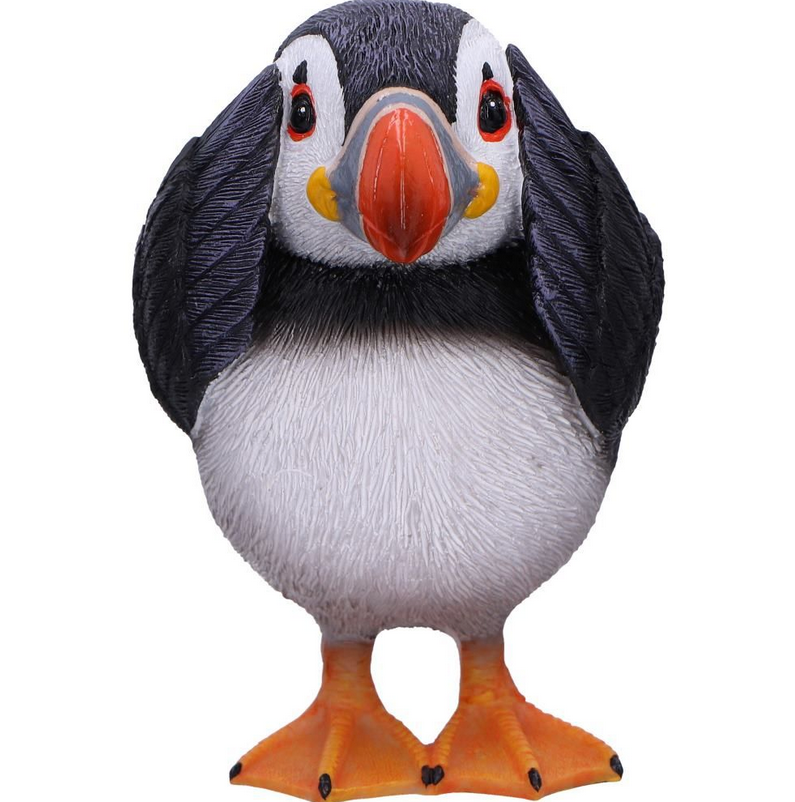 Three Wise Puffins