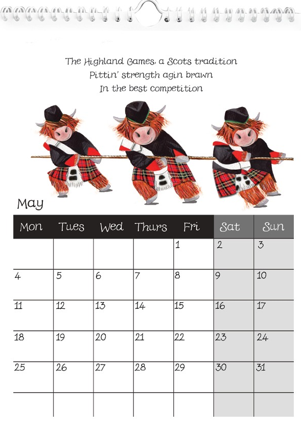 Highland Cow Calendar 2026