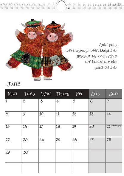 Highland Cow Calendar 2026