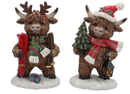 Standing Highland Cow With Skis Pair