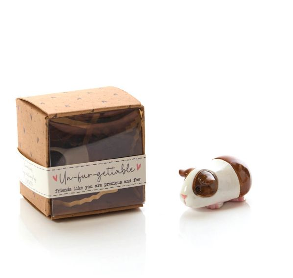 Langs_TinyWorld_GuineaPig_7TW107