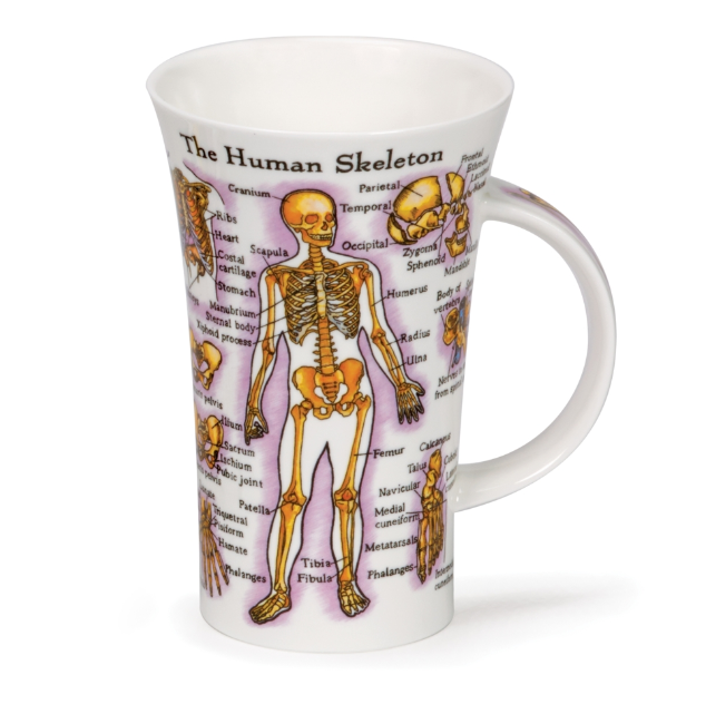 Dunoon Glencoe Human Body Mug