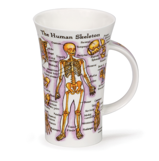 Dunoon Glencoe Human Body Mug