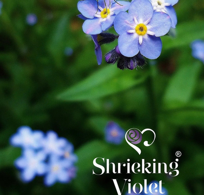 Sterling Silver Forget Me Not Heart Brooch