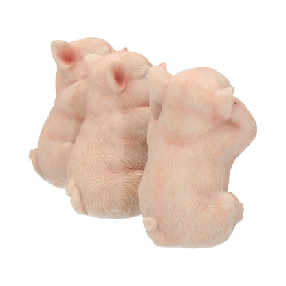 Three Wise Pigs