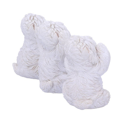 Three Wise Westies