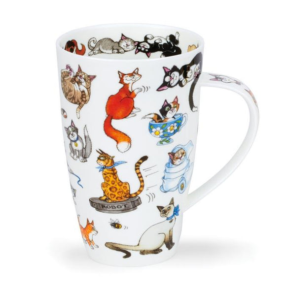Colourful Humour Catastrophe Cat Kitten Fine Bone China Mug Cup