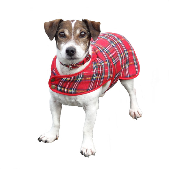 Lovely Shower-Proof Poly Viscose Royal Stewart Tartan Dog Coat With Fleece Lining