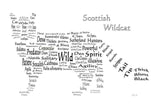 Art By The Loch Handmade Scottish Wild Cat Word Art Picture