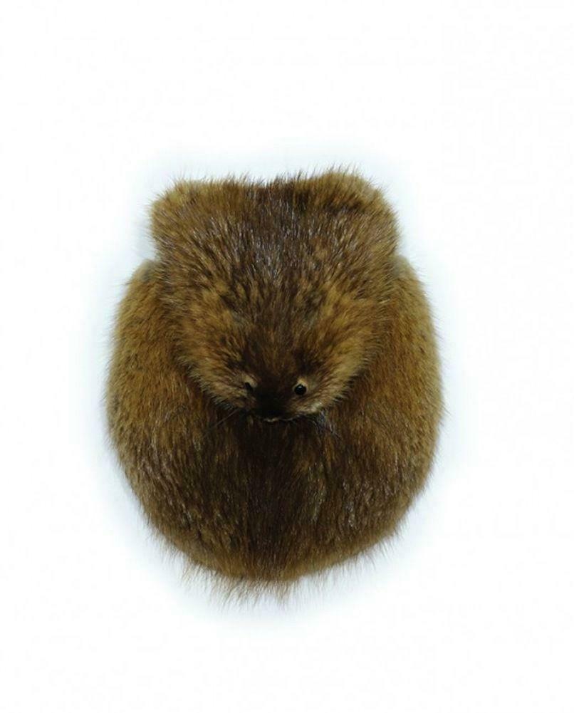 Hunting Sporran Full Musquash Head Pelt