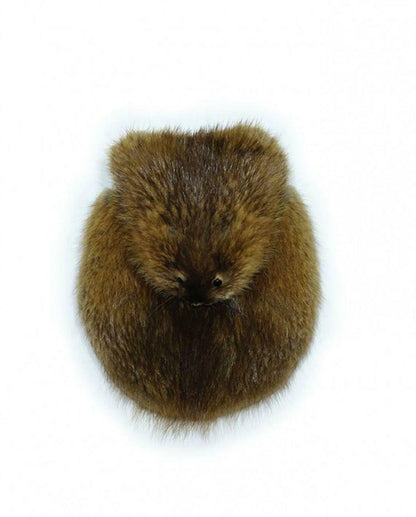 Hunting Sporran Full Musquash Head Pelt