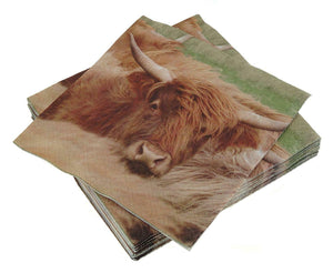 Glen Appin Of Scotland Highland Cow Coo 3 Ply Paper Napkins