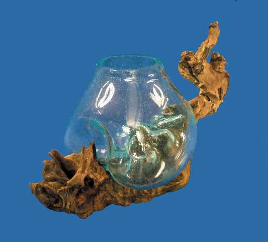 Teak Wood Glass Bowl