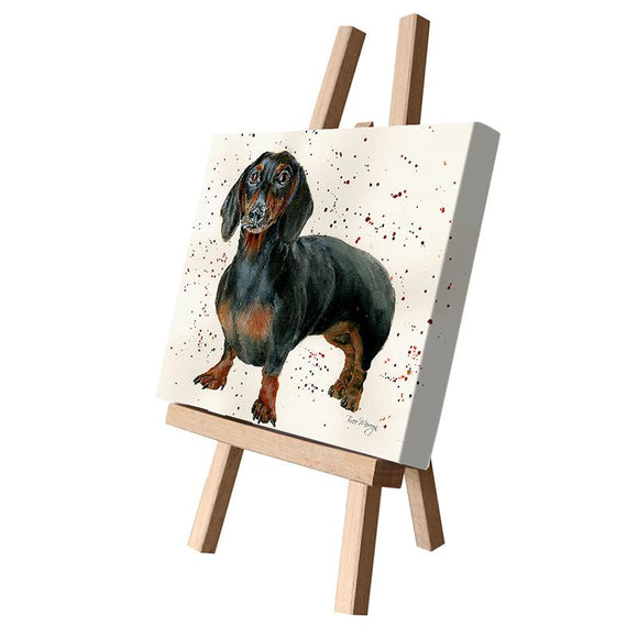 Bree Merryn Fine Art Super Cute Dora Dachshund Dog Puppy Canvas